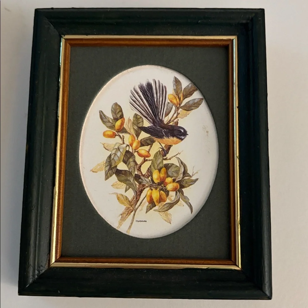 Set of Two Framed Native Birds of New Zealand - Picture 4 of 7